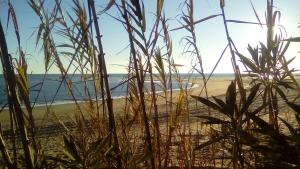 El Mirador de la Desembocadura