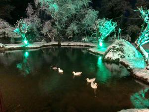 Dipla Sto Potami (Next To The River) Epirus Greece