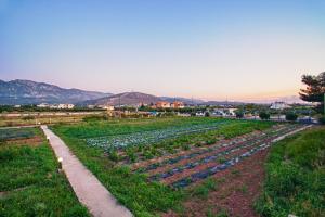 K Ilios Resort and Farming Kos Greece