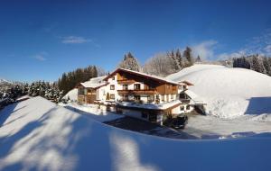 3 star apartment Ferienwohnung Saalbach Fieberbrunn Fieberbrunn Austria