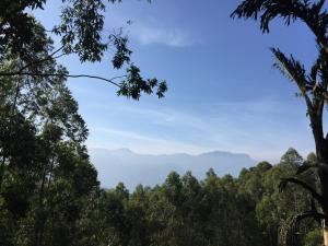 Golden Fern Resort