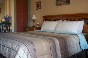 Standard Queen Room room in Vineyard Inn Hotel