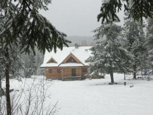 Chata z bali Bukowina