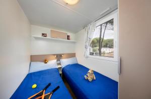 Albatross Mobile Homes on Camping CaSavio