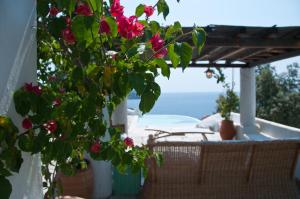 Dream property pool, jacuzzi and sea Skiathos Greece