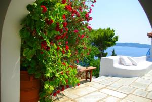 Dream property pool, jacuzzi and sea Skiathos Greece