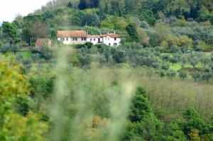 il Podere La Casina