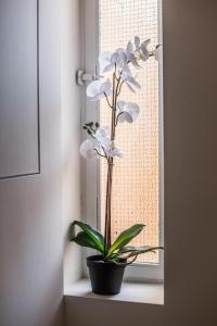 Castle Apartment near Duomo