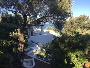 Dream property pool, jacuzzi and sea Skiathos Greece