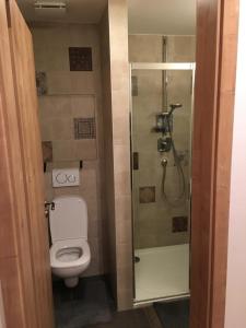 Apartmán u svahu Dolní Morava