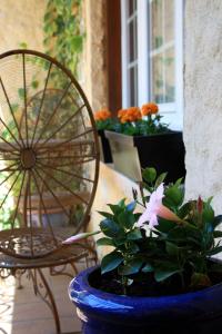 Appartements Villa Liberte : photos des chambres