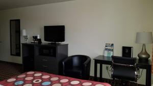Queen Room with Two Queen Beds - Non-Smoking room in Super 8 by Wyndham Ashland