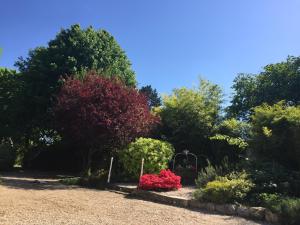 Maisons de vacances Loire Valley Medieval Getaway : photos des chambres