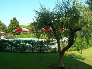 Villaggio Borgo dellUlivo