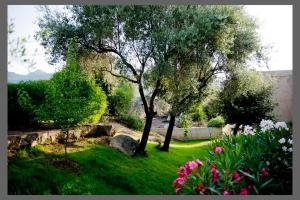 Hotels Hotel Funtana Marina : photos des chambres