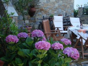 Muses Country House Pelion Greece