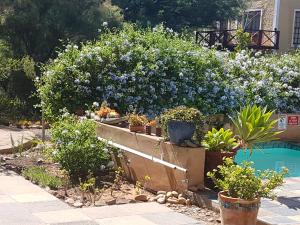 Steytlerville Villa Guest house