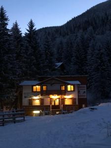 Cabana Bradul Skiland