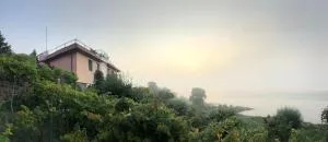 Pensjonat Winnica - Golub-Dobrzyń