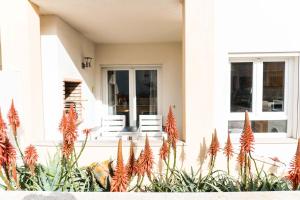 Apartments Baleal: Sunshine by the Pool