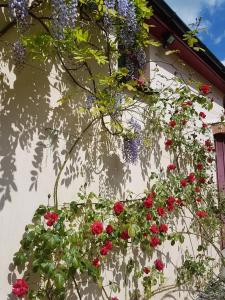 Seren Loft - Cynghordy, Llandovery