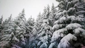 Barbi Exclusive Apartment