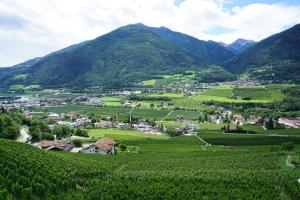 BUEHLERHOF Urlaub mit Kind & Hund, Obst-& Weingut, Brixen