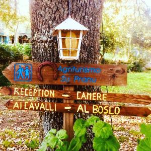 Agriturismo Pranu img48