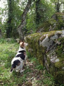 Agriturismo Pranu img82