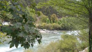 Campings Residence de Plein Air Panoramique a la Porte des Gorges du Verdon : photos des chambres