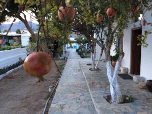 Anixi Astypalaia Greece