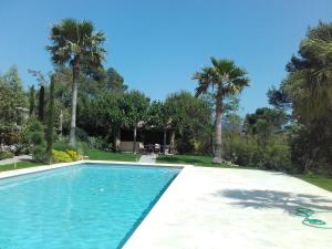 Studios Domaine lOliveraie