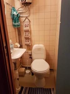 Liten timmerstuga i Sälen