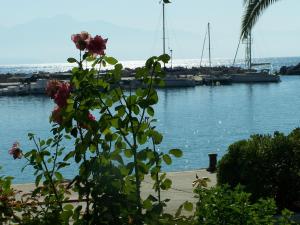 Akroyali Hotel & Villas Messinia Greece