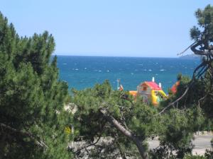Hotels Plage des Pins : photos des chambres
