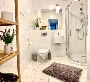 D&M Apart Elizy Orzeszkowej 17