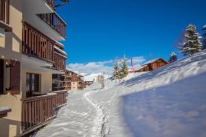 Appartements 26 Praz de l'Ours Vallandry - Paradiski : photos des chambres