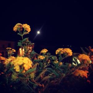 Locazioni Brevi La RosaViola GUEST ROOMS