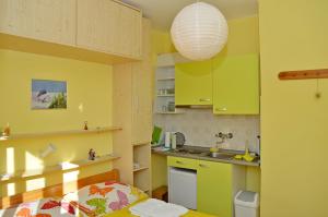 Apartment and Rooms Katica