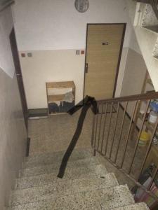 Apartmán Na Horách