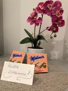 Neu renovierte Unterkunft