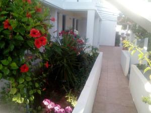 Villas Irene Family Apartments Heraklio Greece