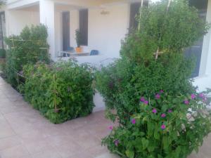 Villas Irene Family Apartments Heraklio Greece