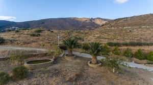 Villa Valentino Andros Greece