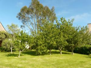 Maisons de vacances La baie : photos des chambres