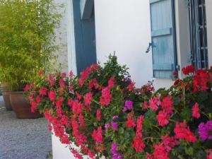 Maisons d'hotes BIDACHUNA : photos des chambres