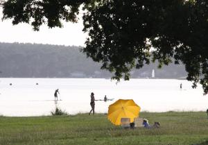 Lodges Lodging Le Lac : photos des chambres