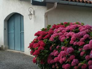 Maisons d'hotes BIDACHUNA : photos des chambres