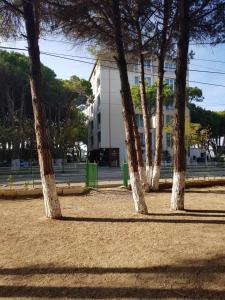 Holiday Family Apartment