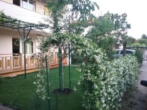 Apartment Mirjana 